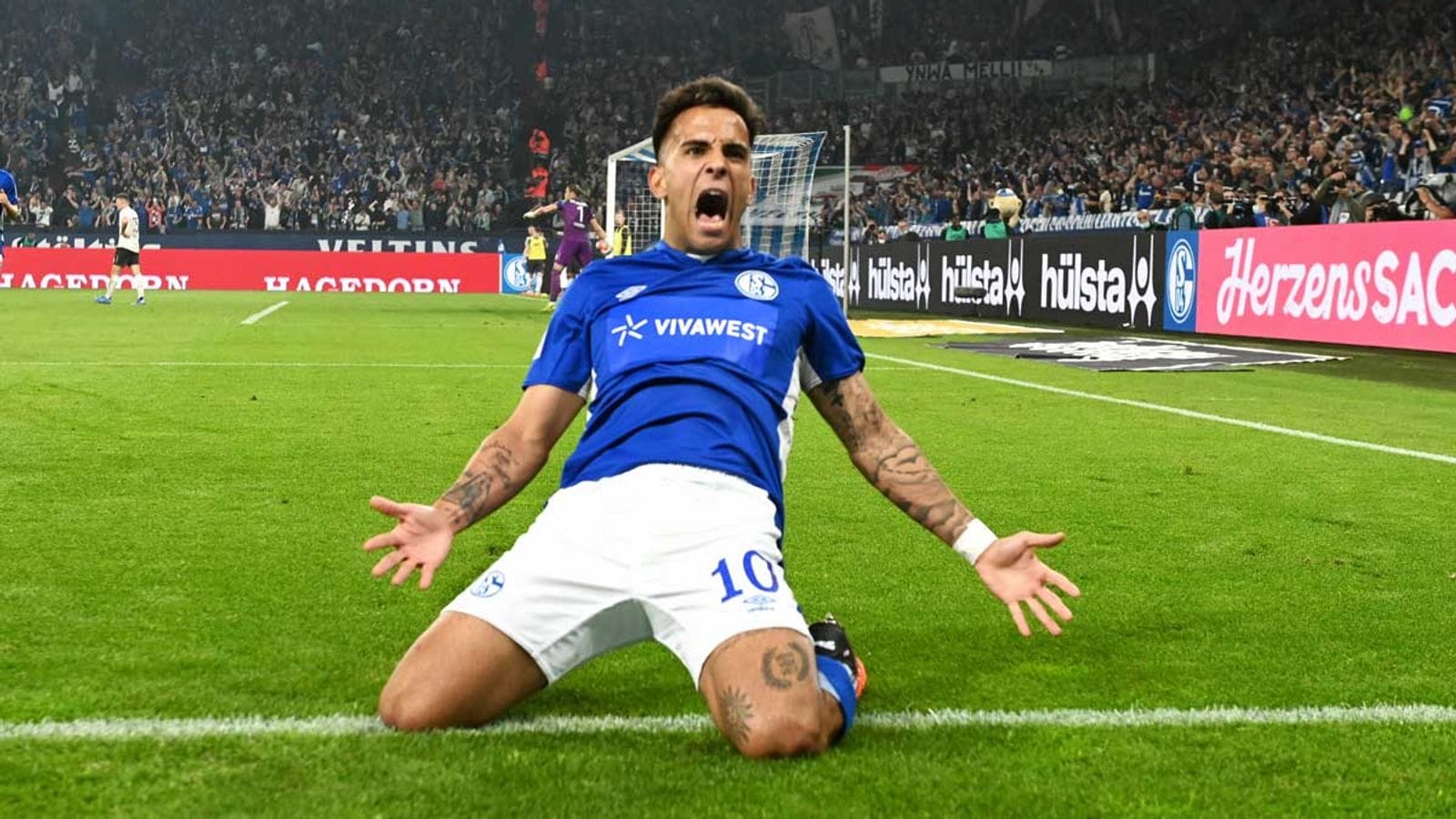 teilnehmer-schalke-spiele