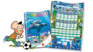Warum Ein Übersichtlicher Spielplan So Wichtig Ist