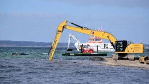 Was bewegt die Menschen beim Thema Wal Ostsee aktuell?